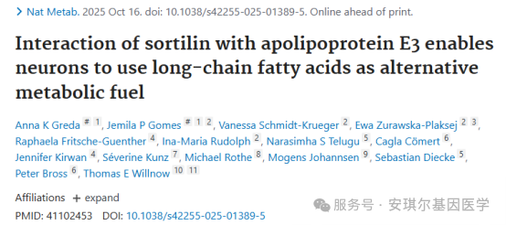 690da13e366bb.png 690da13e366bb.png