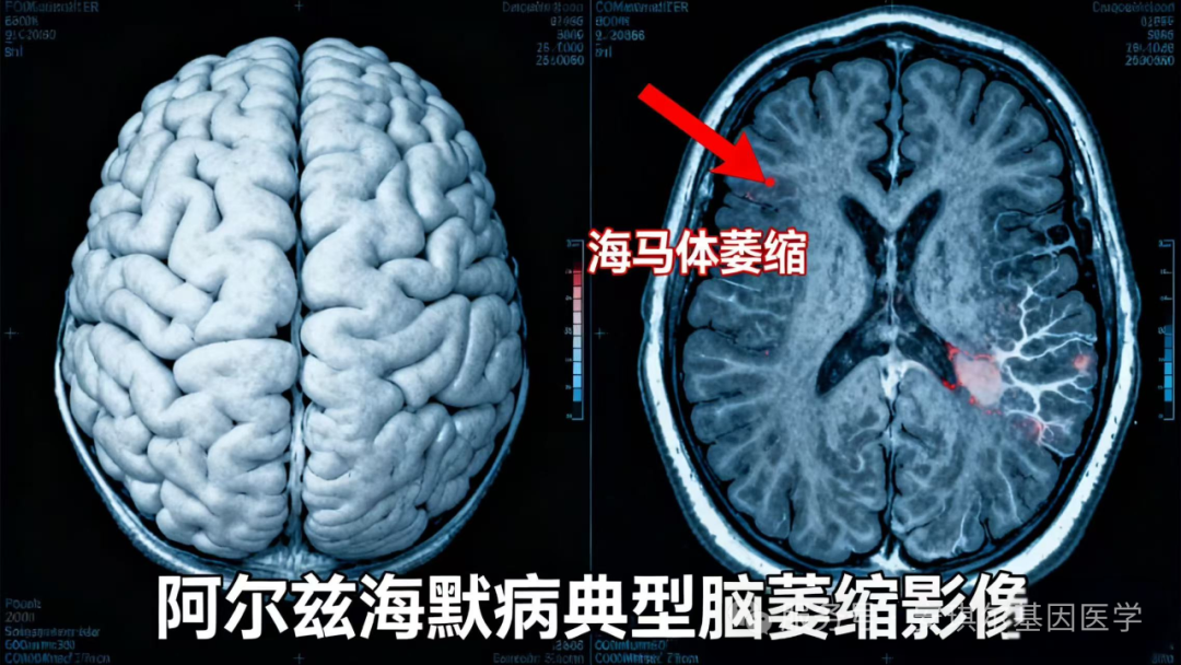 6940cae5ce905.png 6940cae5ce905.png