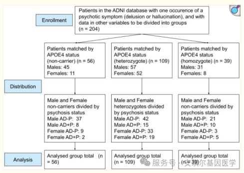 695f203178c80.png 695f203178c80.png