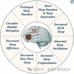 6969a86c00b83.png 6969a86c00b83.png