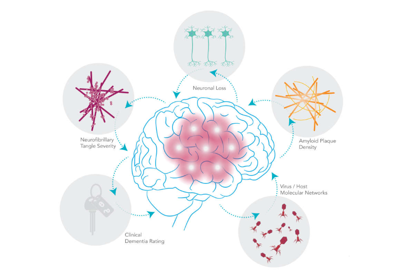 6982f3de9a043.png 6982f3de9a043.png