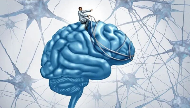 69898cba89c46.png 69898cba89c46.png