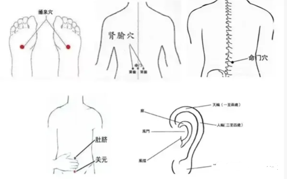 69af8b77737d9.png 69af8b77737d9.png