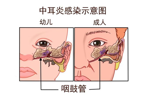 66ab48e2c08d6.png