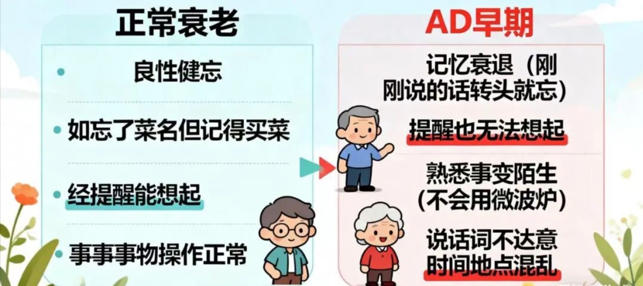 68ea14251946a.png